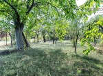 DSC02690