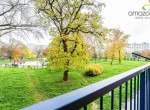 DSC00739